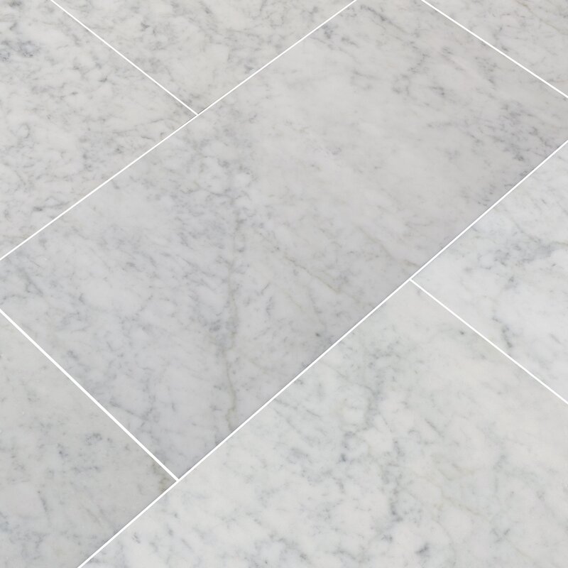 MSI Carrara White 12" x 24" Marble Field Tile & Reviews Wayfair
